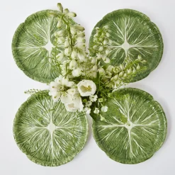 Alpine Lettuce Starter Plate (Set Of 4)|Mrs. Alice Outlet
