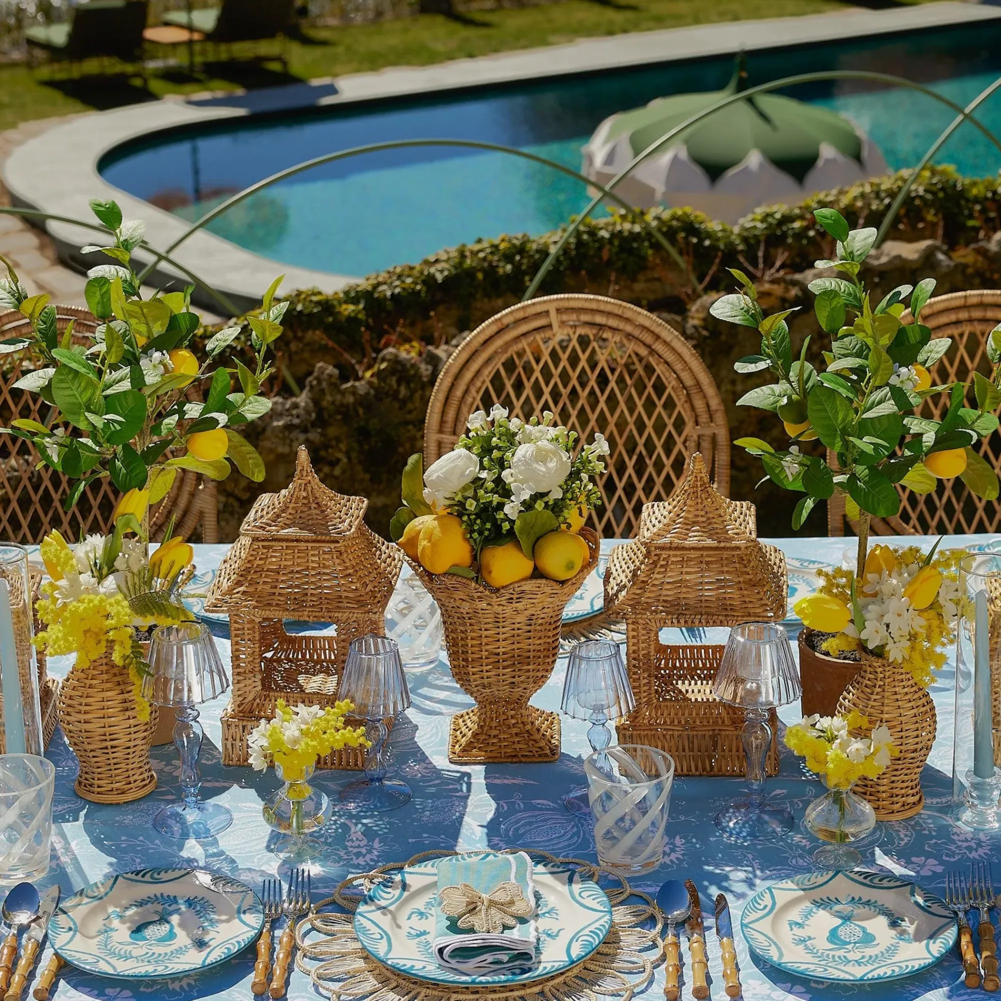 Blue Melograno Starter Plate|Mrs. Alice Outlet