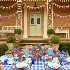 Camilla Blue & Red Linen Placemats (Set Of 4)|Mrs. Alice Best