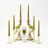 Green Parrot Candlescape|Mrs. Alice Hot