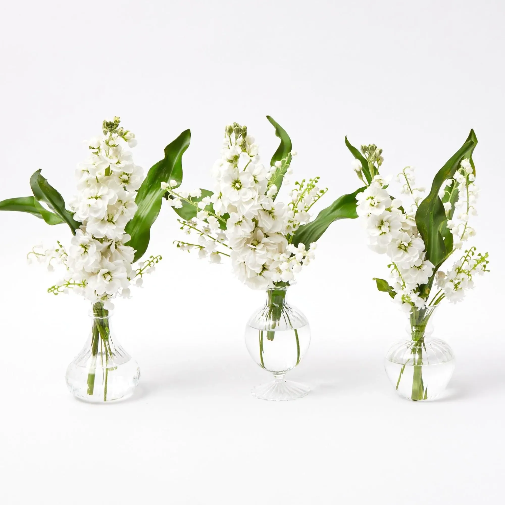 Nancy Bud Vase (Set Of 3)|Mrs. Alice Clearance