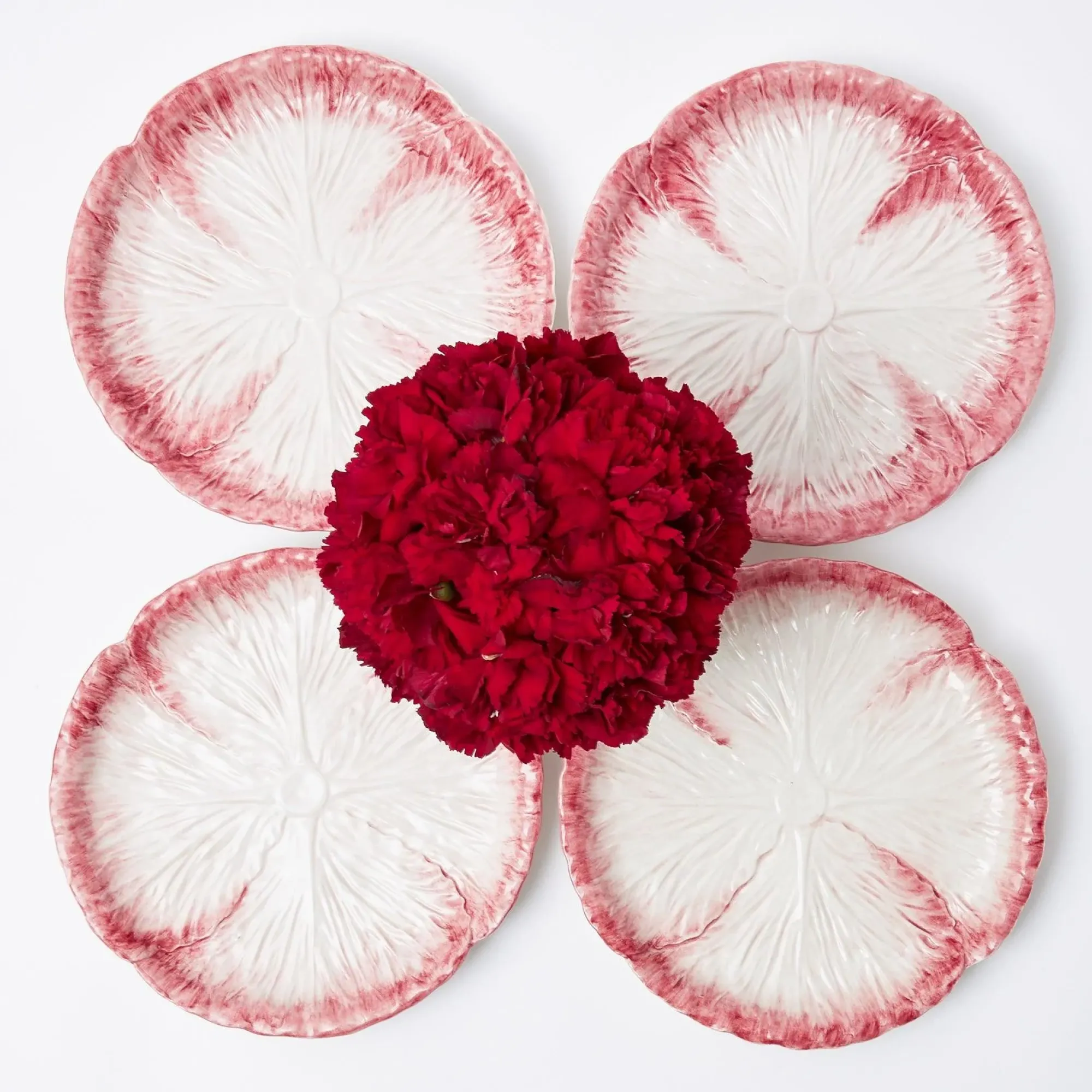 Pink Capri Lettuce Starter Plate (Set Of 4)|Mrs. Alice New