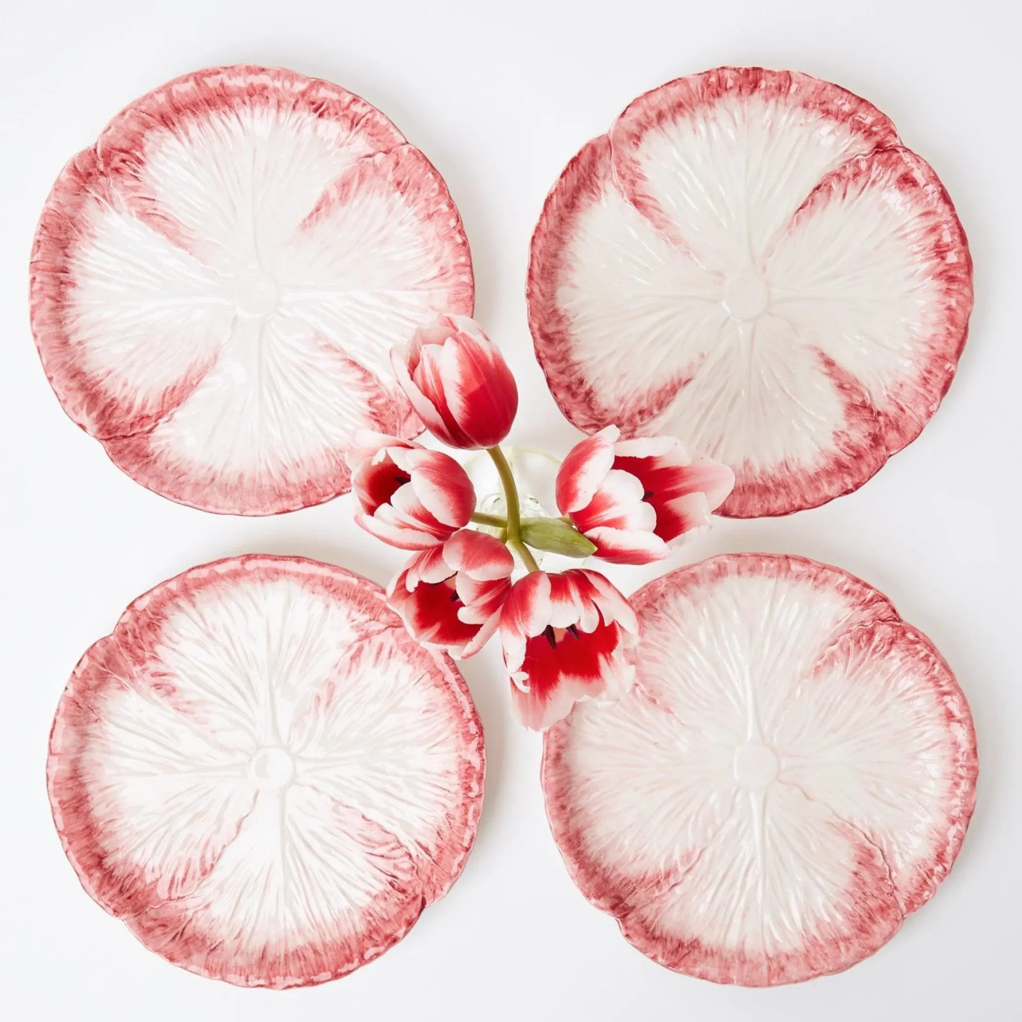 Pink Capri Lettuce Starter Plate (Set Of 4)|Mrs. Alice New