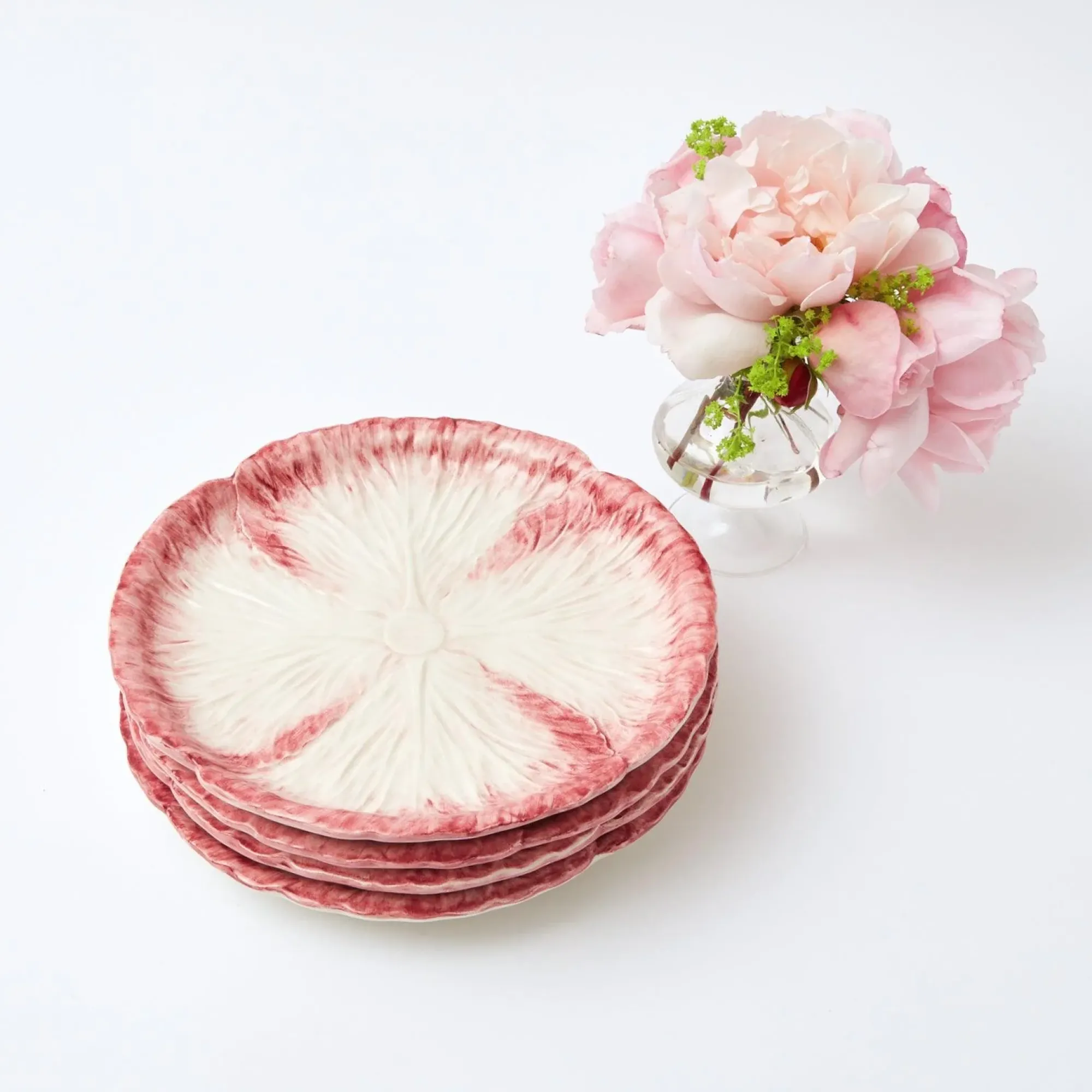 Pink Capri Lettuce Starter Plate|Mrs. Alice Best