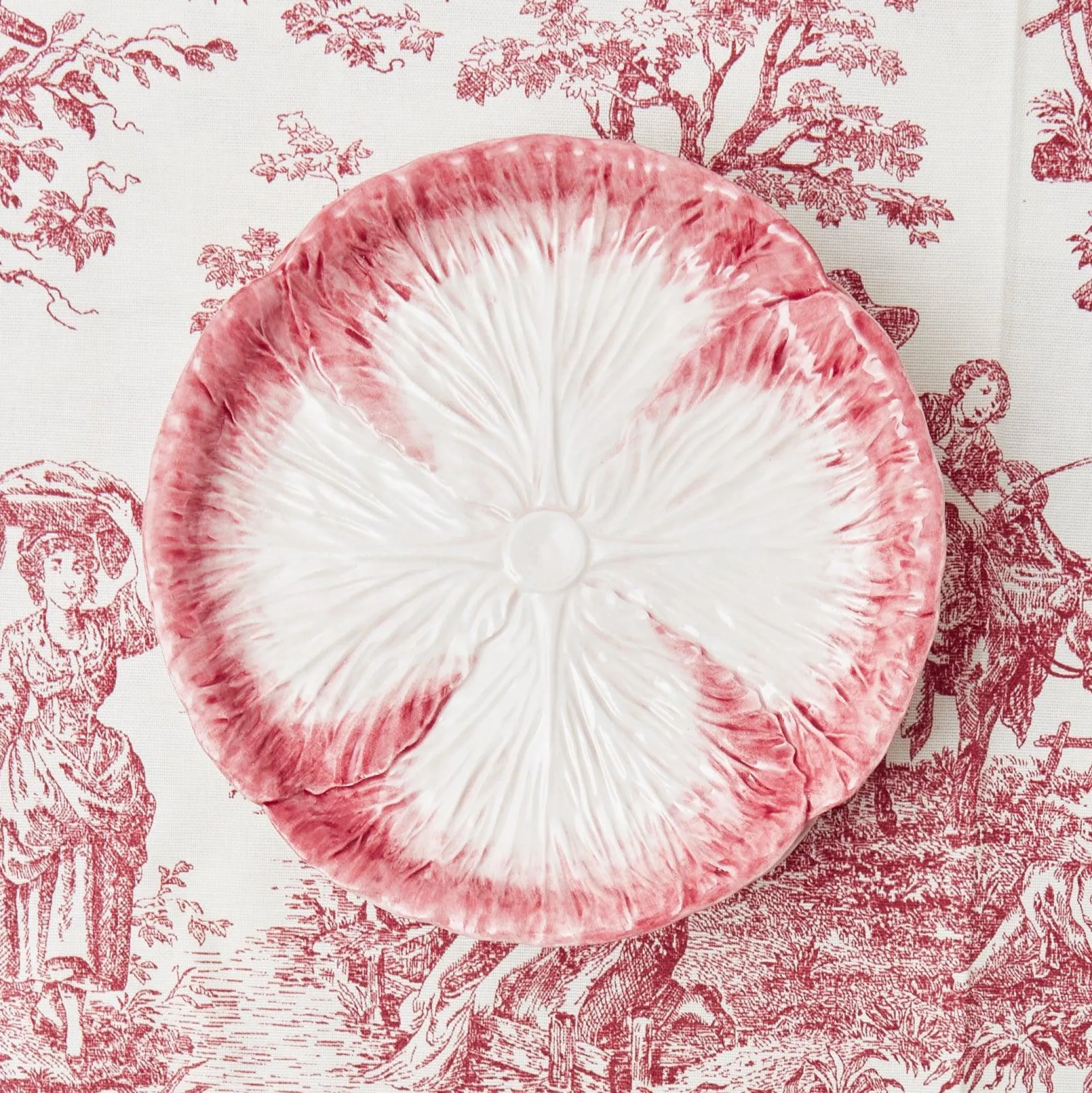 Pink Capri Lettuce Starter Plate|Mrs. Alice Best