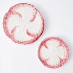 Pink Capri Lettuce Starter Plate|Mrs. Alice Best