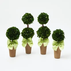 Potted Boxwood With Green Bow Decoration Set|Mrs. Alice Outlet