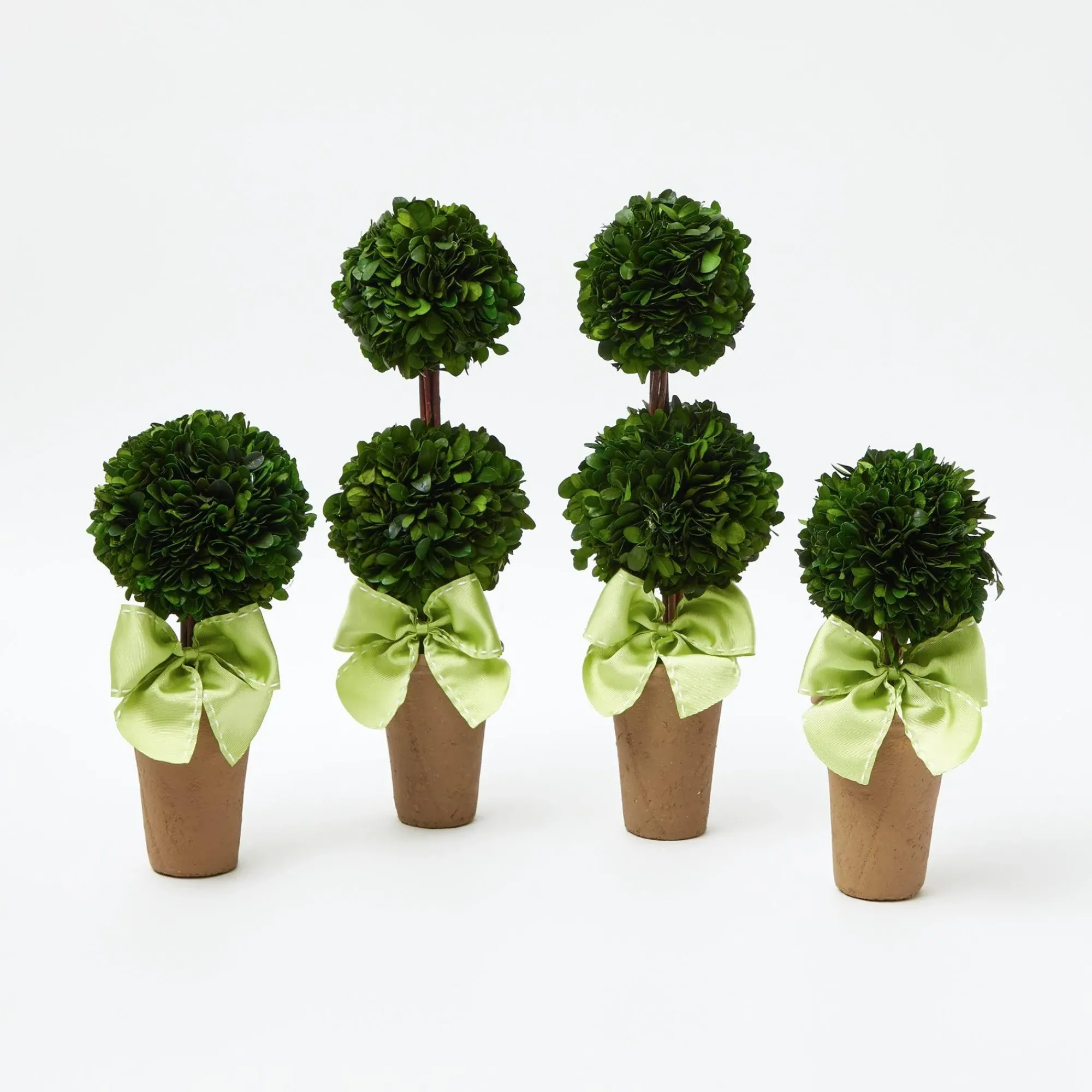 Potted Boxwood With Green Bow Decoration Set|Mrs. Alice Outlet