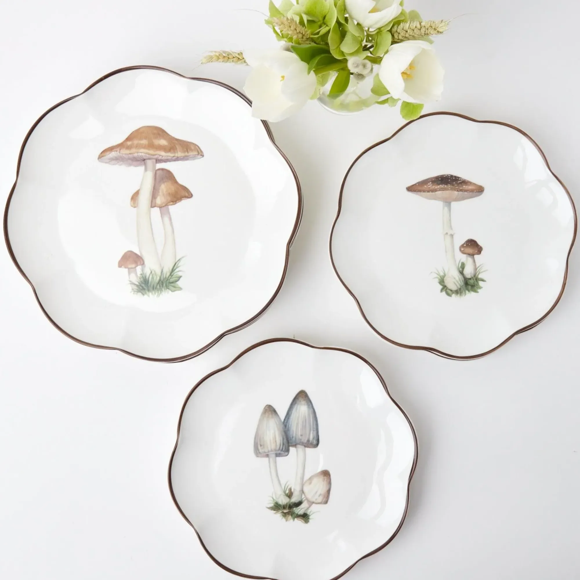 Scalloped Mushroom Dinner Plate (Set Of 4)|Mrs. Alice Discount