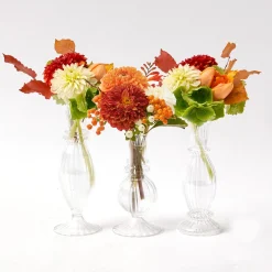 Sofia Bud Vase Set|Mrs. Alice Discount