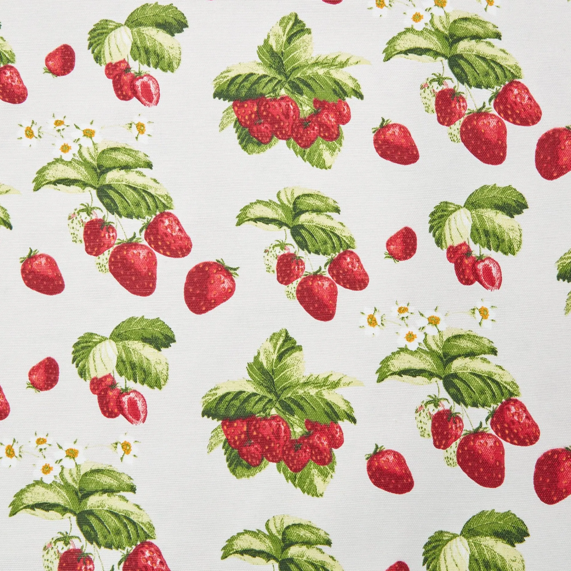 Strawberry Tablecloth|Mrs. Alice Clearance