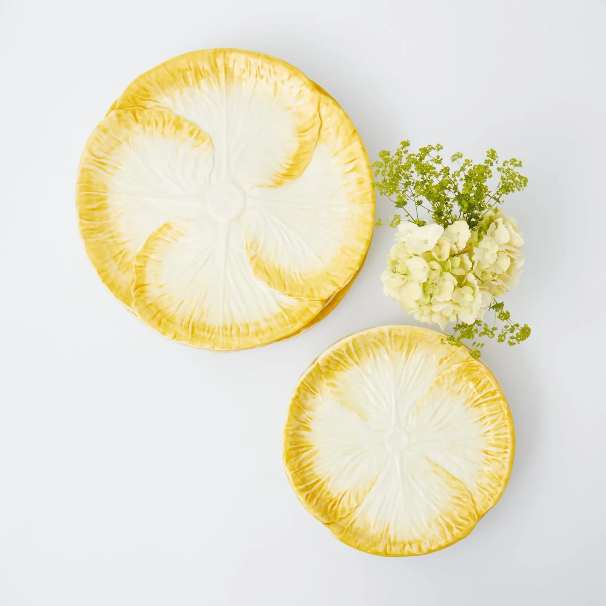 Yellow Capri Lettuce Starter Plates (Set Of 4)|Mrs. Alice Discount